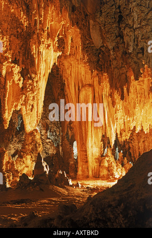 Unterirdische Steingärten im Carlsbad Caverns National Park in New Mexico Stockfoto