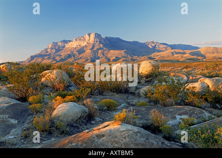 Guadalupe Mountains Nationalpark in Texas USA Stockfoto