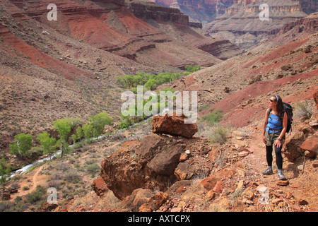 Wanderer auf dem Weg nach Thunder River von Tapeats Creek dieser Wanderung befindet sich in Grand Canyon National Park Stockfoto