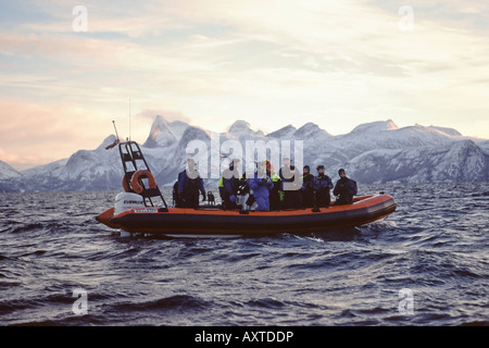 Taucher tragen Trockentauchanzüge an Bord eine starre geschält aufblasbare Vorbereitung zum Schnorcheln mit Killerwale Tysfjord Norwegen Stockfoto