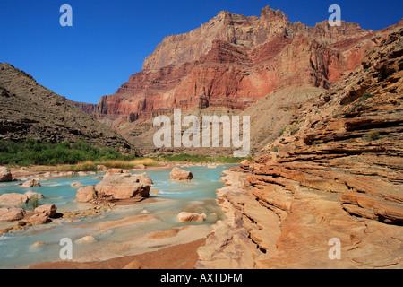 Little Colorado River unterhalb des Zusammenflusses mit dem Colorado River im Grand CanyonNationalpark Stockfoto