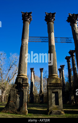 Windsor-Ruinen in Mississippi Stockfoto