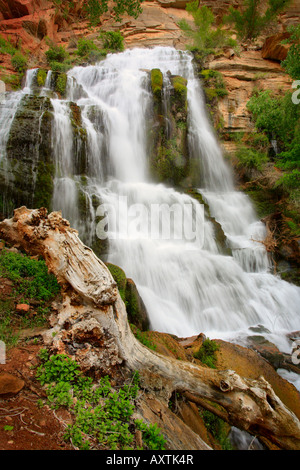 Wasserfall auf Thunder River, ein Nebenfluss des Colorado River im Grand Canyon National Park Stockfoto