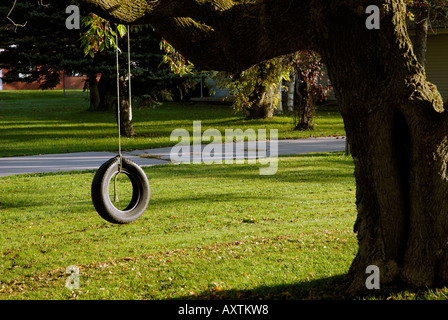 Alte Autoreifen hängt an einem Baum an einem Seil Stockfoto