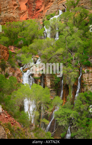 Wasserfall auf Thunder River, ein Nebenfluss des Colorado River im Grand Canyon National Park Stockfoto