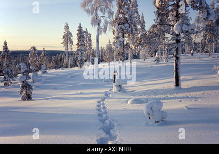 Schneeschuhwandern an einem eiskalten Wintertag im Korouoma Canyon Nature Reserve, Posio, Finnish Lappland Stockfoto