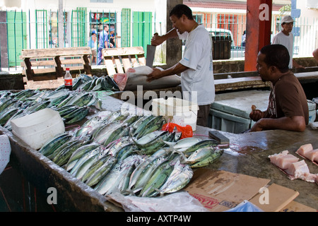 Fischhändler schneiden Fisch - Markt in Victoria, Seychellen Stockfoto