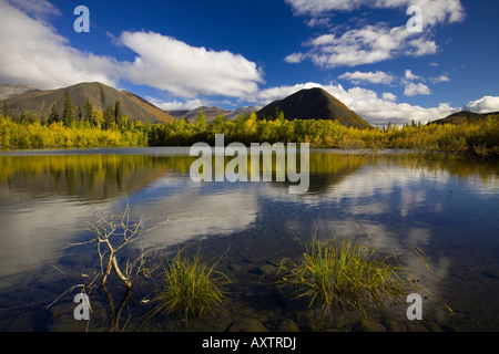 Ogilvie Mountains reflektiert in Blackstone River in der Nähe der Dempster Highway, Yukon Territory Stockfoto