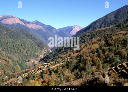 Bhutan schwarze Berge Landschaft in der Nähe von Lobding Stockfoto