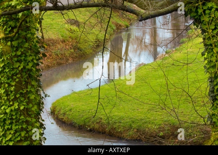 kleiner Bach umgeben von üppiger vegetation Stockfoto