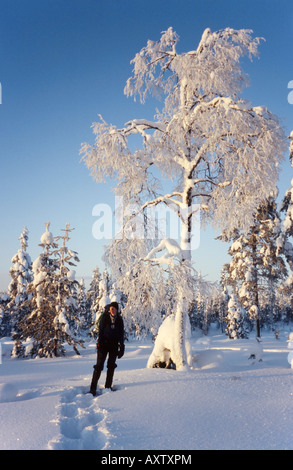 Junger Mann mit Schneeschuhen wandern, an einem klaren sonnigen Wintertag in Korouma Canyon Nature Reserve, Posio, finnische Lappland Stockfoto