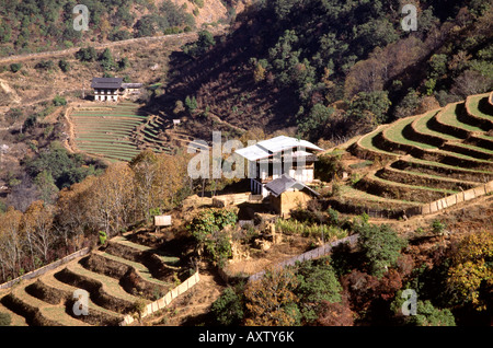 Bhutan-schwarze Berge-Farm in der Nähe von Lobding Stockfoto