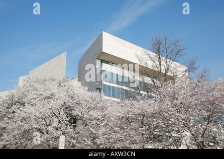 National Art Gallery, Kirschblüten, Washington DC, USA Stockfoto