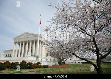 US Supreme Court Gebäude, Kirschblüten, Washington DC, USA Stockfoto