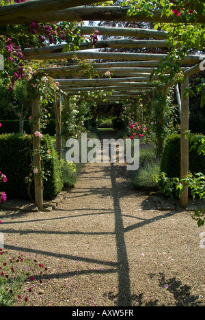 Rose überdachte Pergola in einem traditionellen Landschaftsgarten Stockfoto