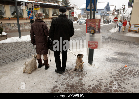 Ältere Paare, die ihren Hund durch Schnee und Eis im Ski Alpin Stadt von St. Anton, Österreich. Stockfoto