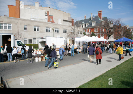 Bauernmarkt, Dupont Circle, Washington DC, USA Stockfoto