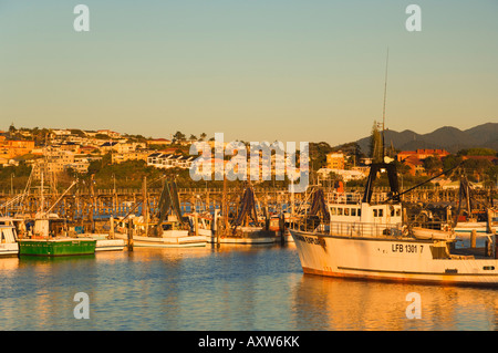 Marina, Coffs Harbour, New South Wales, Australien, Pazifik Stockfoto