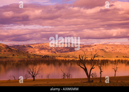 Lake Hume, Huon, Victoria, Australien, Pazifik Stockfoto