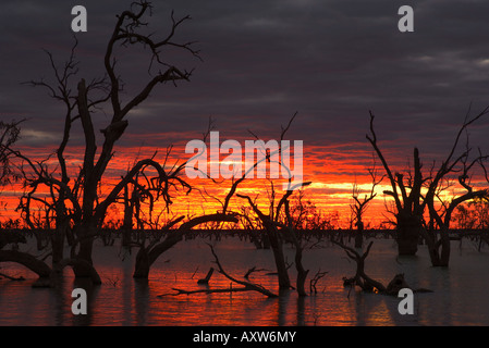 Lake Pamamaroo, Menindee, New South Wales, Australien, Pazifik Stockfoto