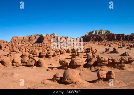 Goblin Valley State Park, Utah, Vereinigte Staaten von Amerika, Nordamerika Stockfoto