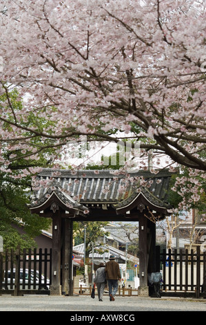 Altes Ehepaar zu Fuß durch Tor unter Frühling Kirschbaum Blüte, Kyoto, Japa, Asien Stockfoto