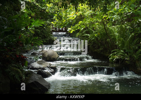 Tabacon Hot Springs, den Vulkan Arenal, Costa Rica vulkanischen Thermalquellen gespeist. Stockfoto