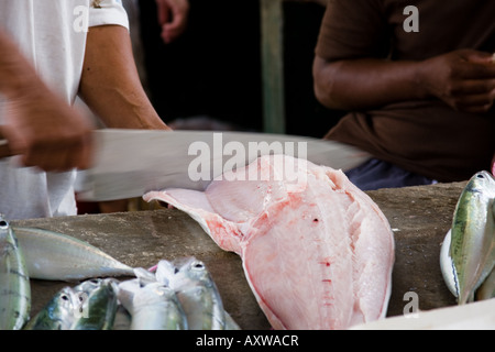 Fischhändler schneiden Fisch - Markt in Victoria, Seychellen Stockfoto