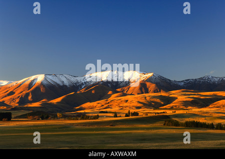 Hawkdun Range, Ranfurly, Central Otago, Südinsel, Neuseeland, Pazifik Stockfoto