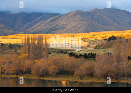 Glendhu Bay, Lake Wanaka, Wanaka, Central Otago, Südinsel, Neuseeland, Pazifik Stockfoto