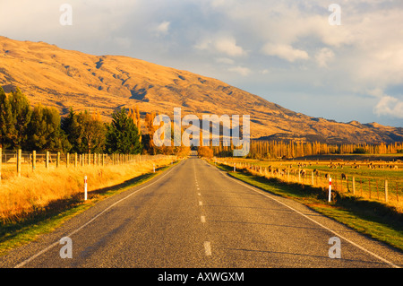 Straße, Tarras, Central Otago, Südinsel, Neuseeland, Pazifik Stockfoto