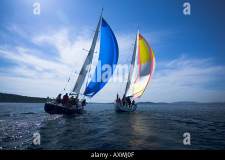 Legen Sie zwei Kreuzer Segelboote racing einander Windrichtung, mit wichtigsten Segel und Spinnaker voll Stockfoto