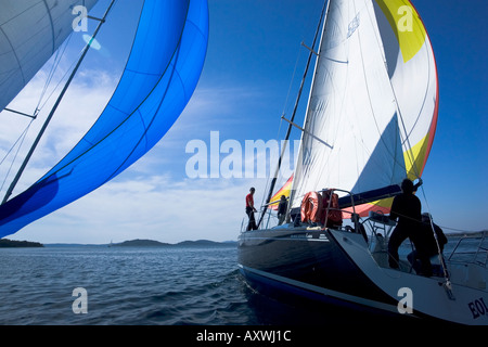 Legen Sie zwei Kreuzer Segelboote racing einander Windrichtung, mit wichtigsten Segel und Spinnaker voll Stockfoto