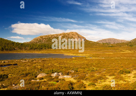 Der Tempel, Mt. Jerusalem und Lake Salome, Mauern von Jerusalem Nationalpark, Tasmanien, Australien, Pazifik Stockfoto