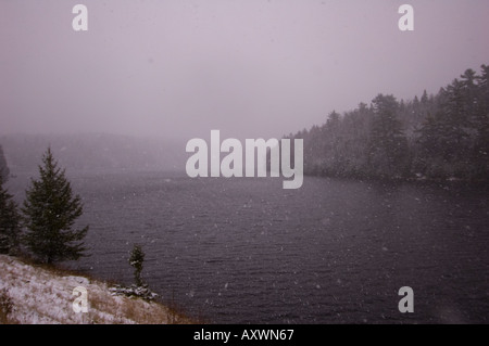 Winter-Schnee-Sturm auf See und borealen Wald mit grauen Himmel New Brunswick, Kanada Stockfoto