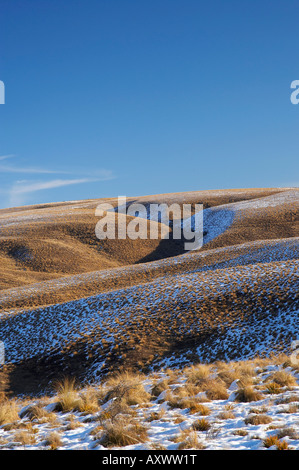 Grasbüschel und Schnee auf Hügeln neben der Maniototo Pigroute Südautobahn Insel Neuseeland Stockfoto