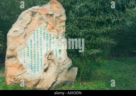 Rock mit chinesischen Schriften und Bambus Wald, lila Bambuspark, Peking, China, Asien Stockfoto