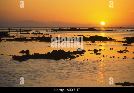 South Pacific Fidschi-Inseln Viti Levu Coral Coast Stockfoto