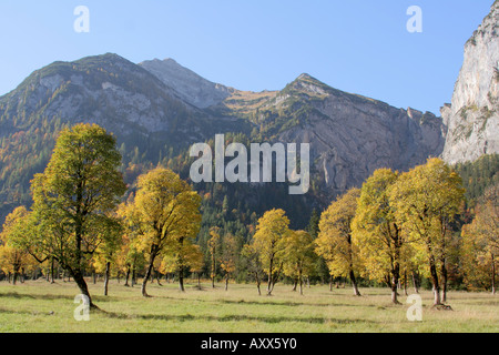 Herbstlandschaft Grosser Ahornboden Hinterriss Eng Karwendel Tirol Österreich Stockfoto