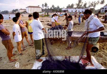 Sri Lanka Negombo entfernen Fische aus Netzen am Strand Stockfoto