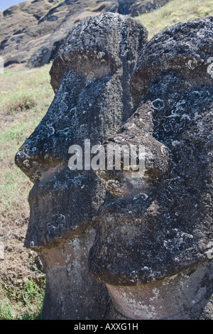 Moai in verschiedenen Stadien der Fertigstellung übersät um am Hang des Rano Raraku auch bekannt als die Moai-Kindergarten Stockfoto