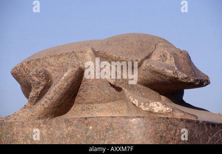 Luxor, Karnak Tempel, Skarabäus Stockfoto