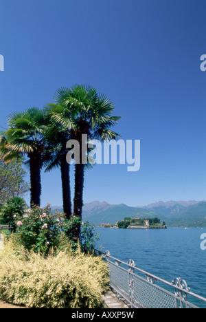 Stresa, mit Isola Bella im Hintergrund, Lago Maggiore, Piemonte (Piemont), Italien, Europa Stockfoto