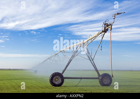 automatisierte kreisförmig rotierenden Mitte Drehpunkt Bewässerung System Sod Landwirtschaft Landwirtschaft Sprinkler Räder Reifen Sod Bauernhof Landwirtschaft Stockfoto