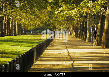 Von Bäumen gesäumten Blick auf The Mall und dem St. James Park im Herbst, Zentral-London Stockfoto