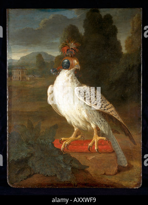Brühl, Schloß Augustusburg, Falkenportrait Stockfoto