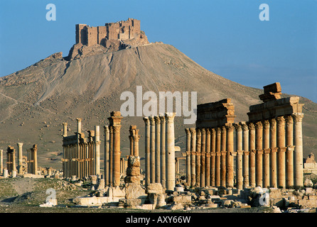 Grand Kolonnade und die Arabische Burg, Palmyra, UNESCO World Heritage Site, Syrien, Naher Osten Stockfoto