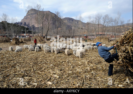 Ein Dorf im Chicheng county, Provinz Hebei, China. 27. März 2008 Stockfoto