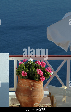 Santorini-Blumen von Café mit Blick auf den griechischen Inseln Stockfoto