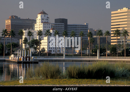 Palm, von Bäumen gesäumten Uferpromenade und Stadt Hochhaus Bürogebäude in der Innenstadt von Long Beach Harbor Kalifornien Stockfoto